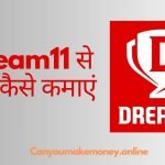 Dream11 se paise kaise kamaye